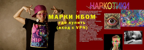 стаф Бородино