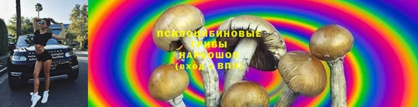 дмт Бугульма