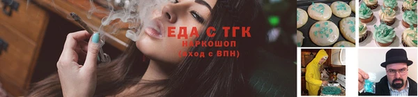 стаф Бородино
