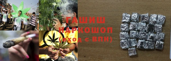 стаф Бородино