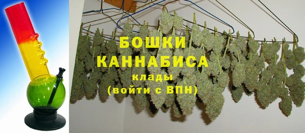 стаф Бородино