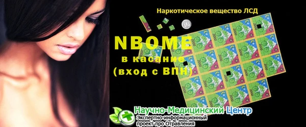 стаф Бородино